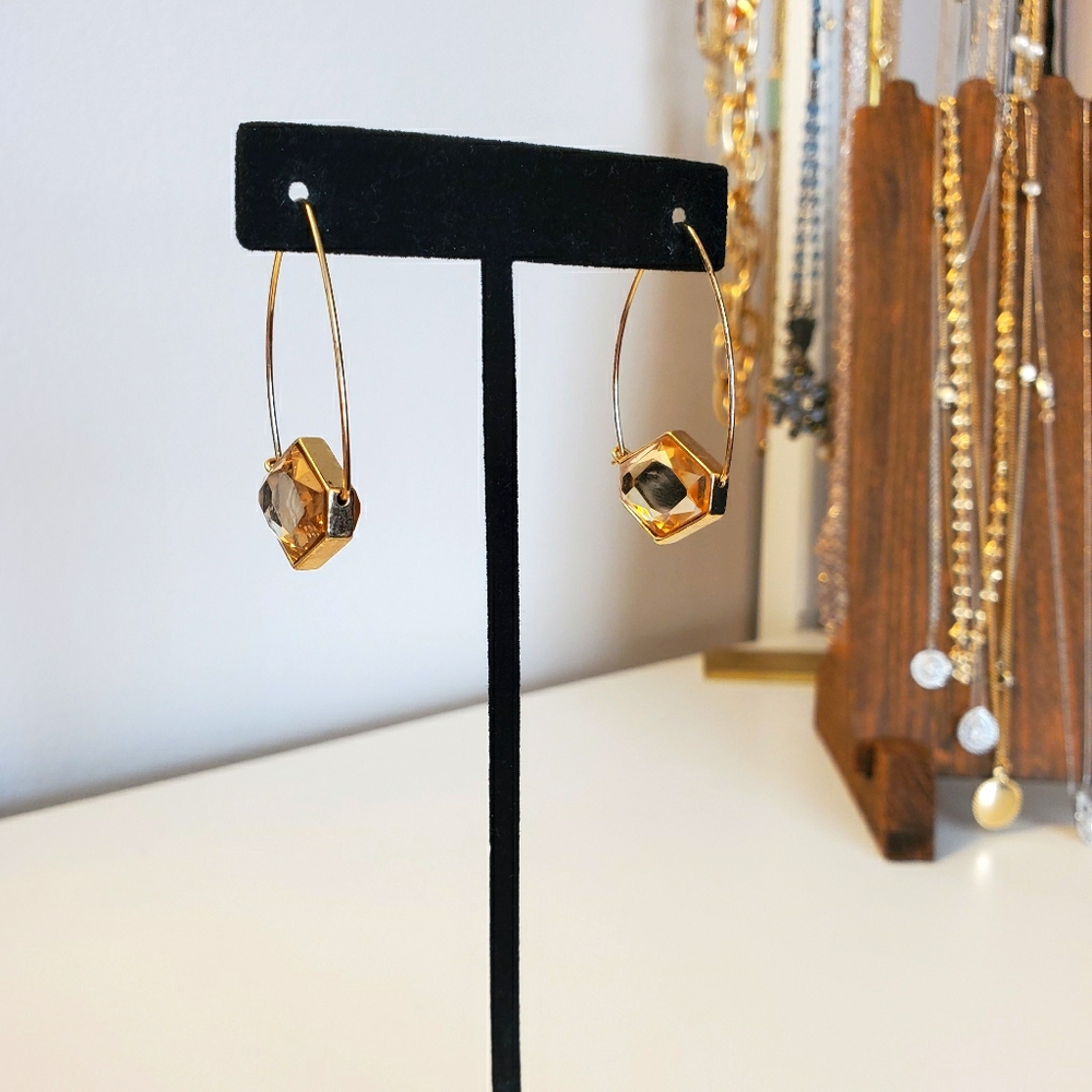 Fashion Earrings